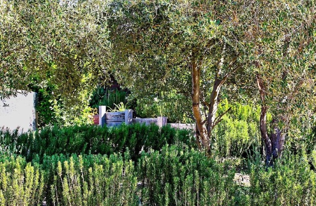 "The Dale" @ The Glen for a Romantic getaway !n