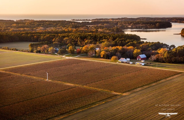 The Farmhouse at Chatham Vineyards