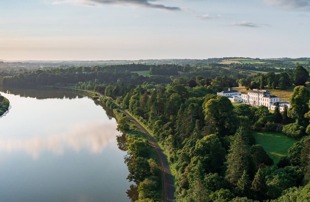 The Forest at Mount Congreve Gardens