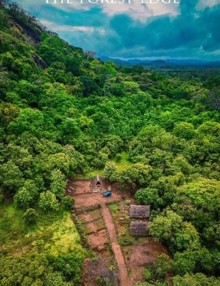 The Forest Edge Resort