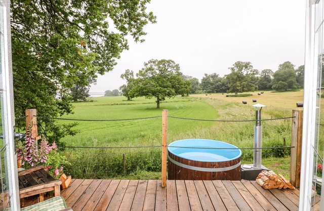 The Lazy Mare by The Water