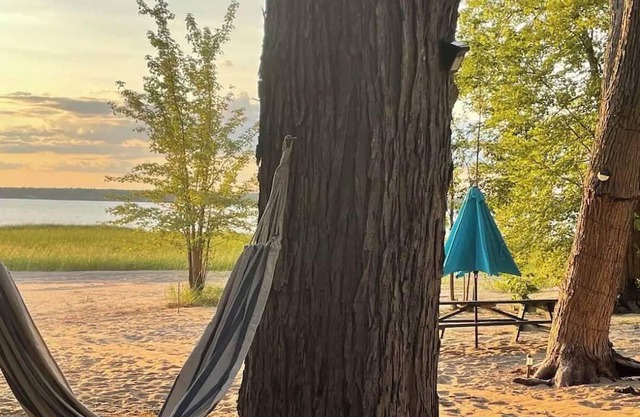 The Little Blue Beach House waterfront with shallow and sandy beach dog friendly