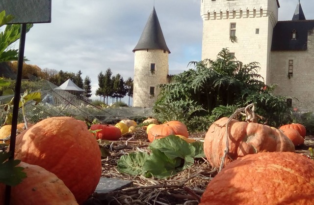 The lodging of eleven acres in the heart of Touraine