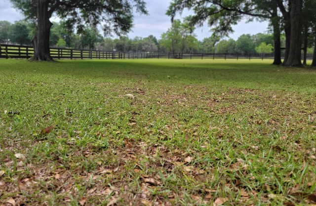 The Lonestar Whitt Ranch