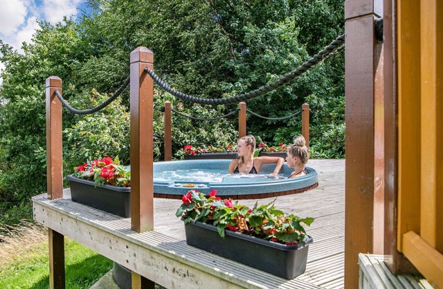 The Lookout - 5 Star - Pet Friendly - Hot Tub - Scandinavian Log Cabin