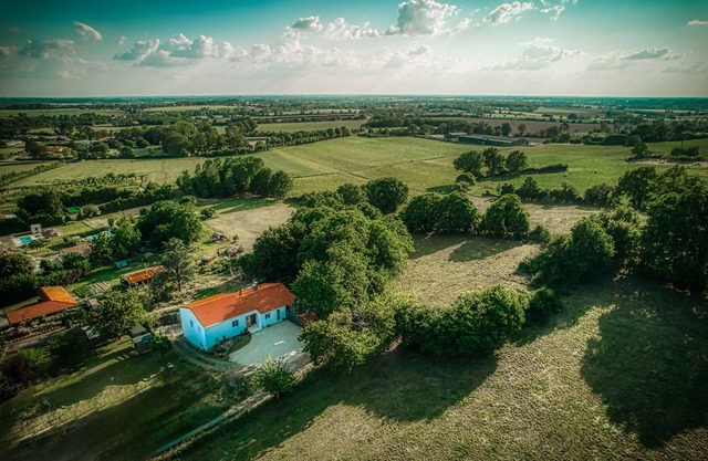 THE MEADOW FIELDS OF MEMORIES