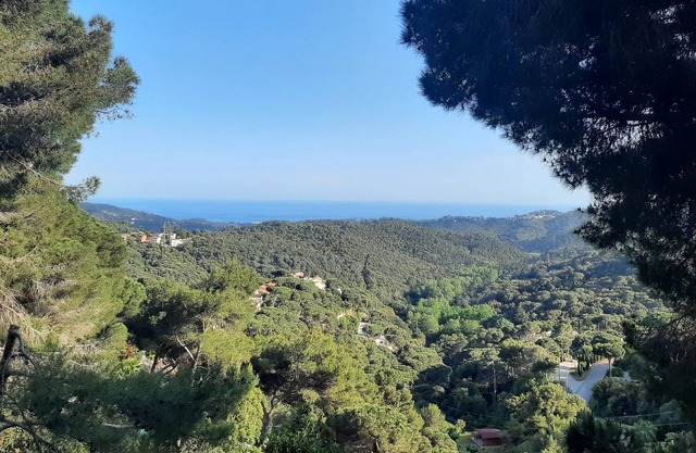 The Nature House - Art Sea and Forest