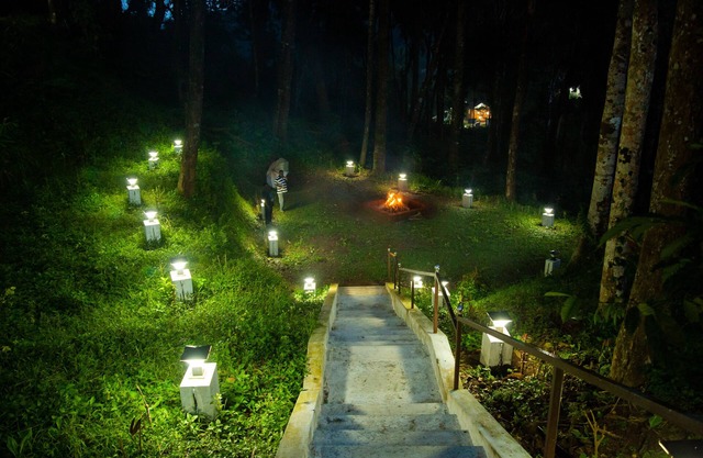 The Nest Bettathur, Coorg Ct 004