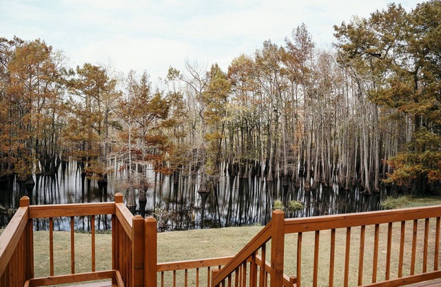 The Perch-Lakefront Retreat, Deck, Grill, Fire Pit