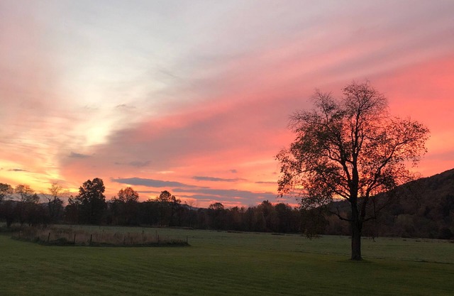The Perfect Country Getaway