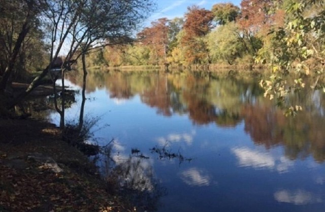 The Pine Cone - Cozy & Perfect for Couples ~ Includes Kayaks!