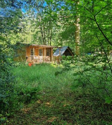The Shack in the Woods