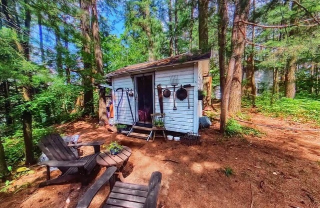 The Stabbin Cabin Grant Island w/Boat, HotTub, Pet