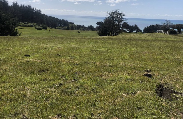 The Sunset Farmhouse, ocean view! Located close to town and beaches