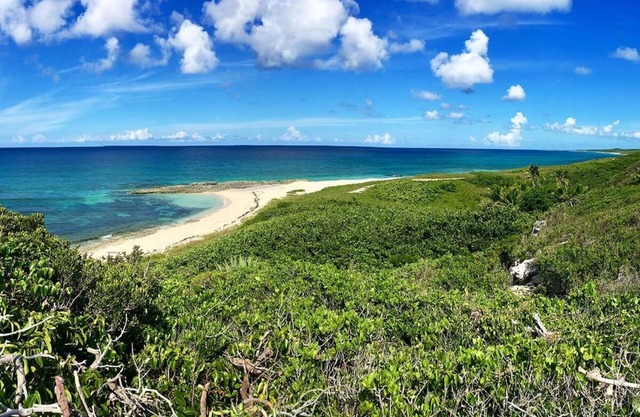 The Surf Cottage - Beach and Jungle all in One!