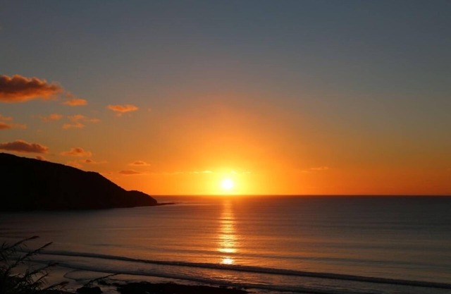 The Treasure Trove Studio