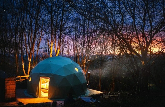 The Tree Dome - Luxurious Glamping Retreat
