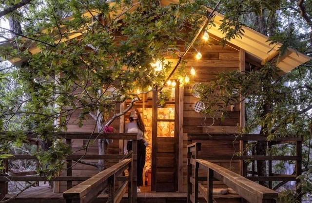 The Tree House Alameda