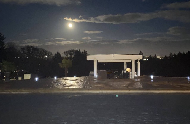 The Tree House of Paradise