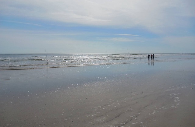 The Turtles Nest, Freshly remodeled, All New! 1.5 miles to beach .