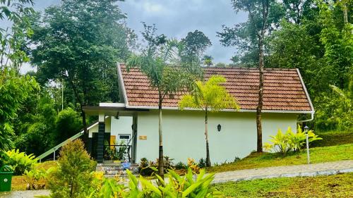 The village vista