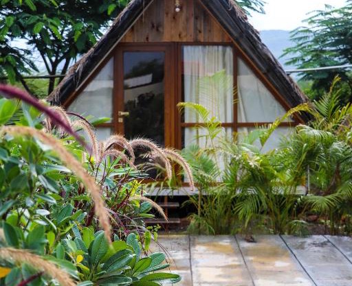 The Vintage Farm, Nashik