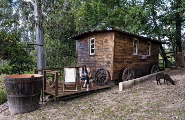 The Western Wagon