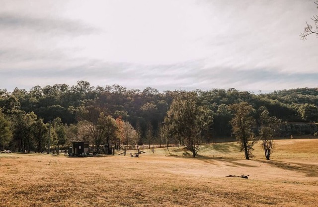 The Wollombi Wanderer by Tiny Away