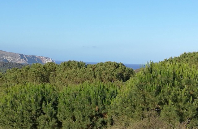 The Yellow House - detached villa