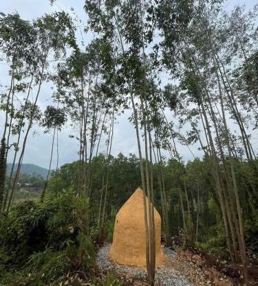 Thiền Buông Thả