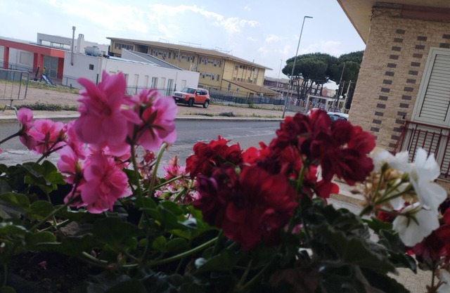 Thomas'home