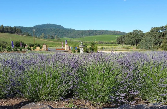 Thorn Hill Vineyards Villa Suites