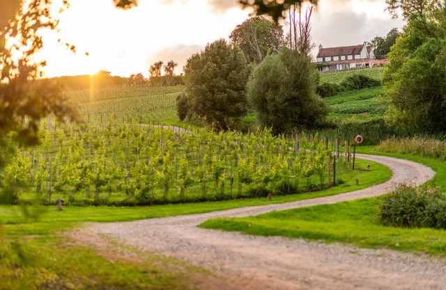 Three Choirs Vineyards