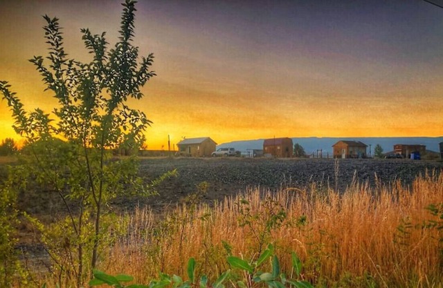 Three Tiny's at the Same Time at Triple View Tinys