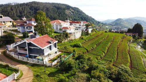 Tiger Hill Homestay