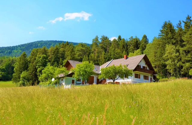 TIME OUT at the edge of the forest, peace and enjoyment of nature, A1 media box/TV Plus, garden/pets
