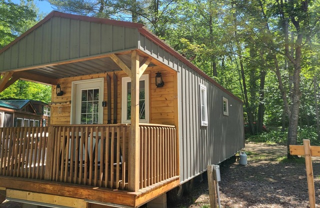 Tiny cabin in towering pines, with lake view. Pets accepted!