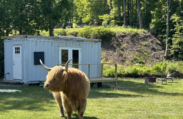 Tiny House Container @ Yorkie Acres Farm