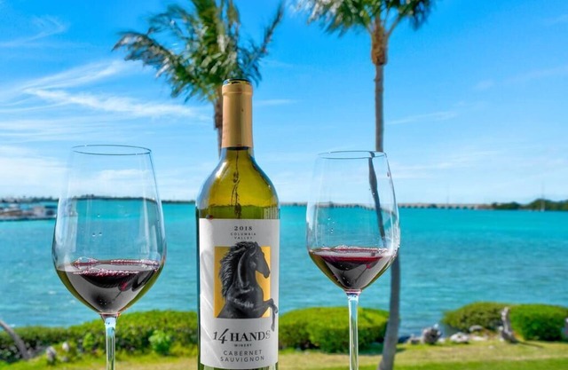 Tiny Villa, Big Ocean Views| Breathtaking Sunsets