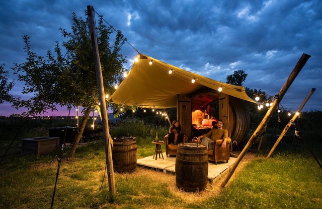 Tiny Wineyhouse no 1
