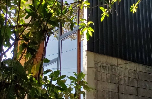 Tinyhouse en el Bosque