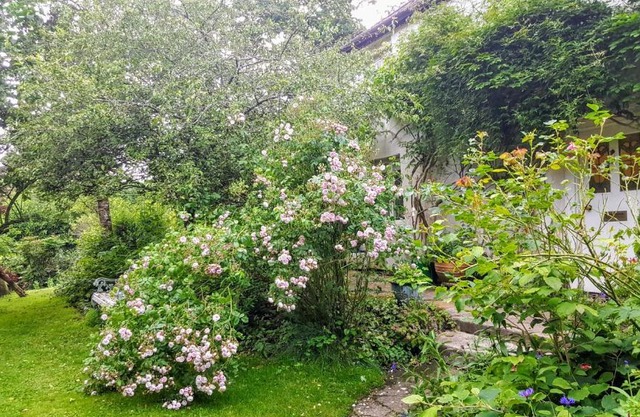 Tracebridge Cottage B&B