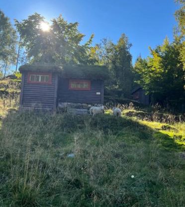 Tradisjonell norsk hytte i vakre Rasdalen