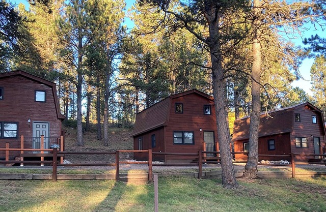 Trailshead Lodge Cabin 1