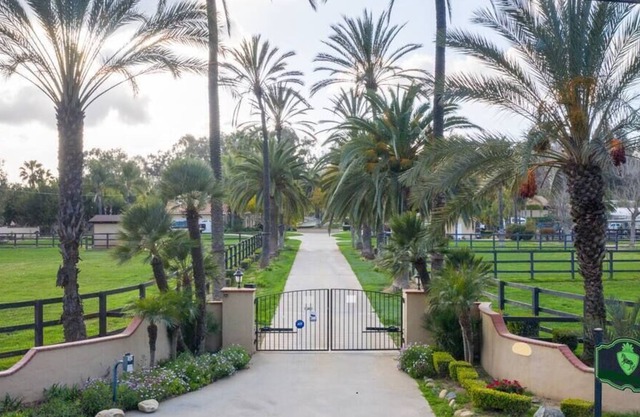 Tranquil 9 Acre Retreat, Horse Farm, 11mi to beach