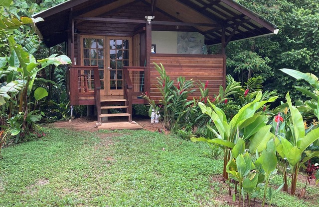 Tranquil Waterfall Studio, Oceanfront with Jungle Hiking and Starlink