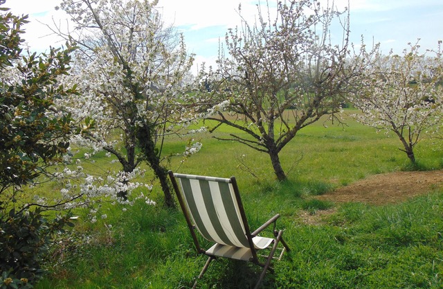 Treat yourself to a sublime escape in the pretty little village of Faudoas.