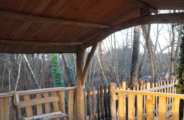 Tree house