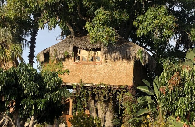 TREE HOUSE located on Rancho Danza del Sol