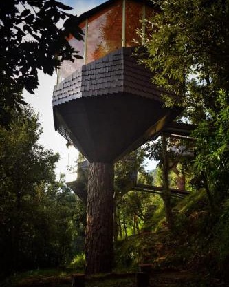 Treecasa Resort